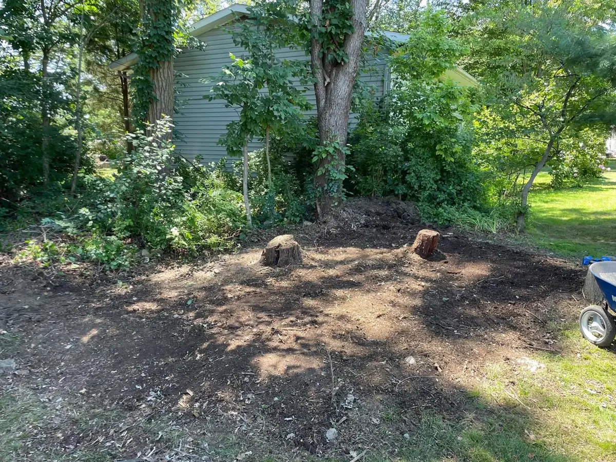Yard after brush removal — cleared and clean