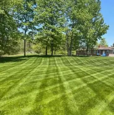 Neatly mowed lawn