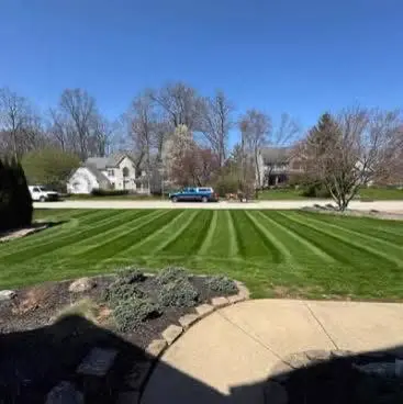 Lawn after full service mowing