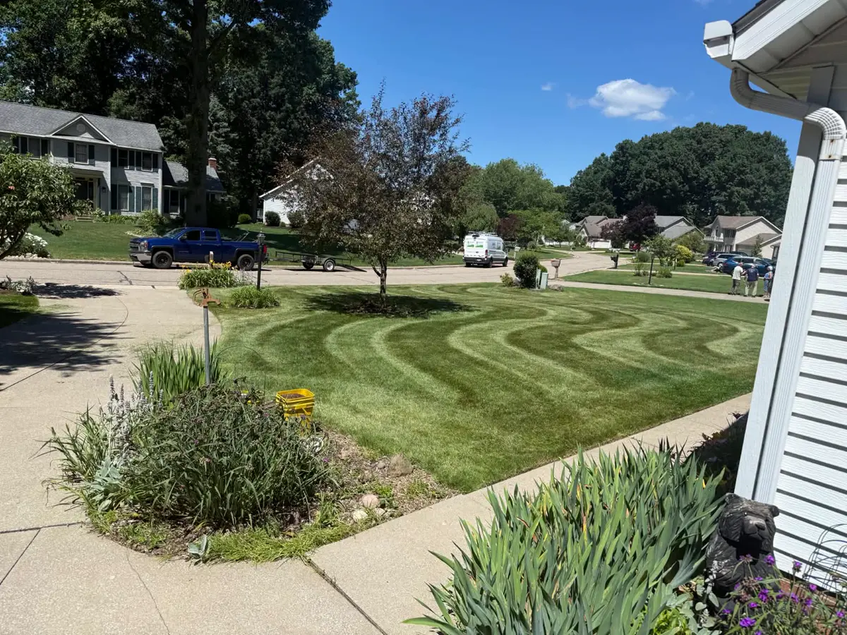 Freshly mowed lawn with clean stripes