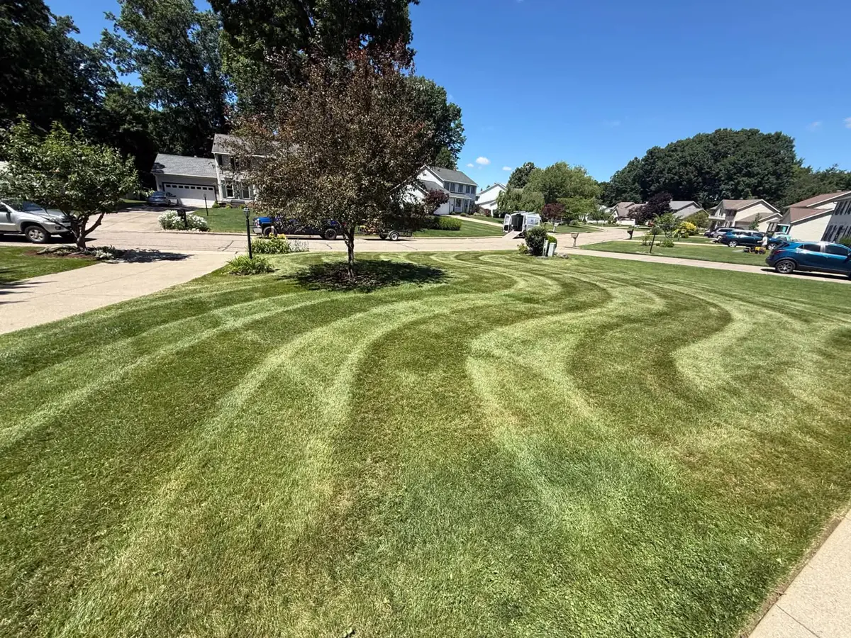 Freshly mowed front yard