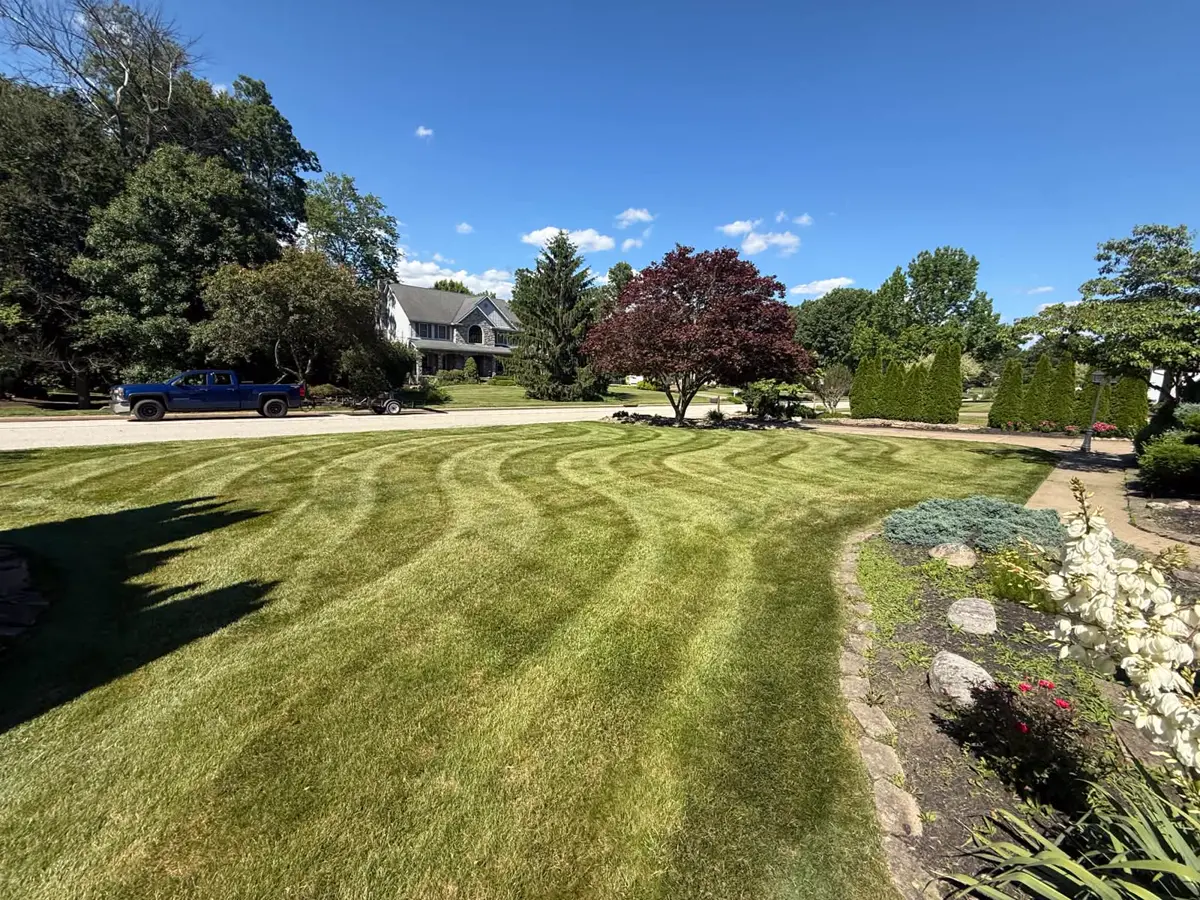 Clean cut backyard lawn